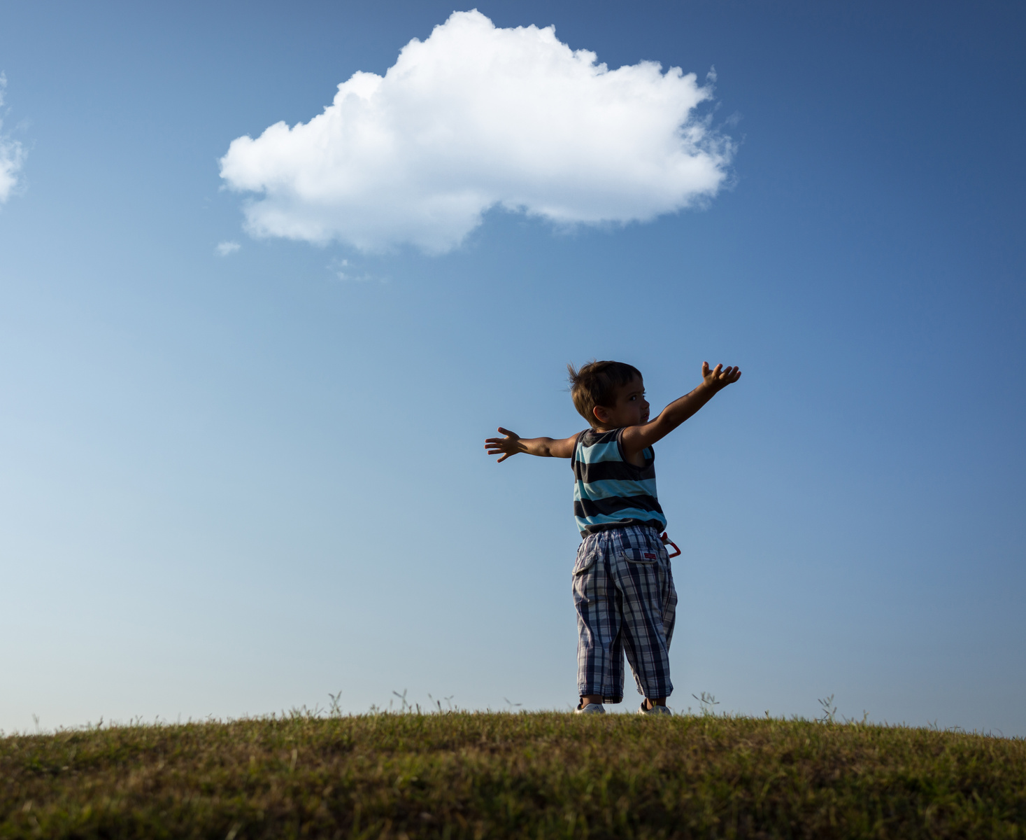 Child with Arms up with Beautiful Cloud and Grass Summer Meadow